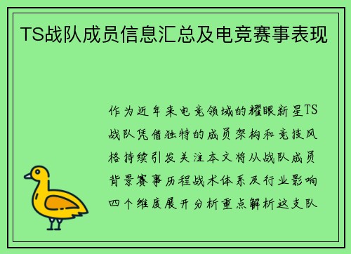 TS战队成员信息汇总及电竞赛事表现